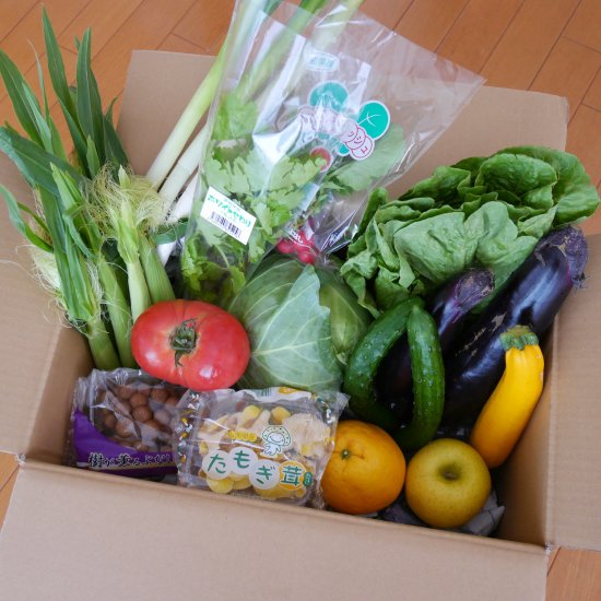 九州の厳選野菜