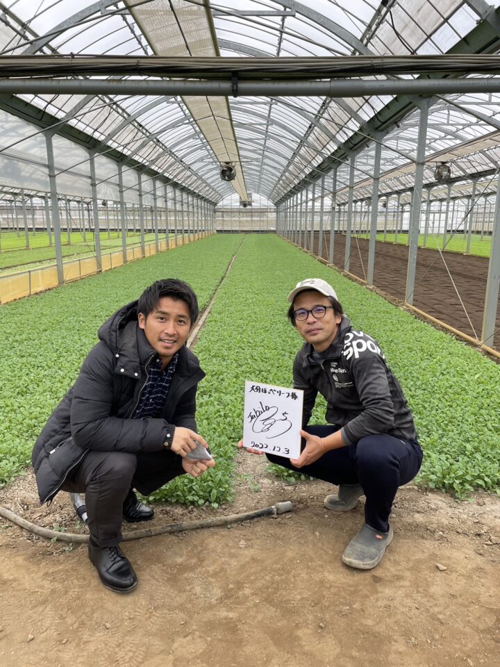 ジュビロ磐田 小川大貴 選手 ベビーケール栽培
